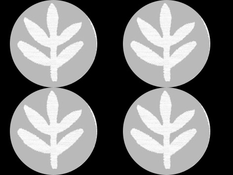 营养流失 token