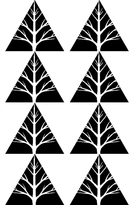 根 token